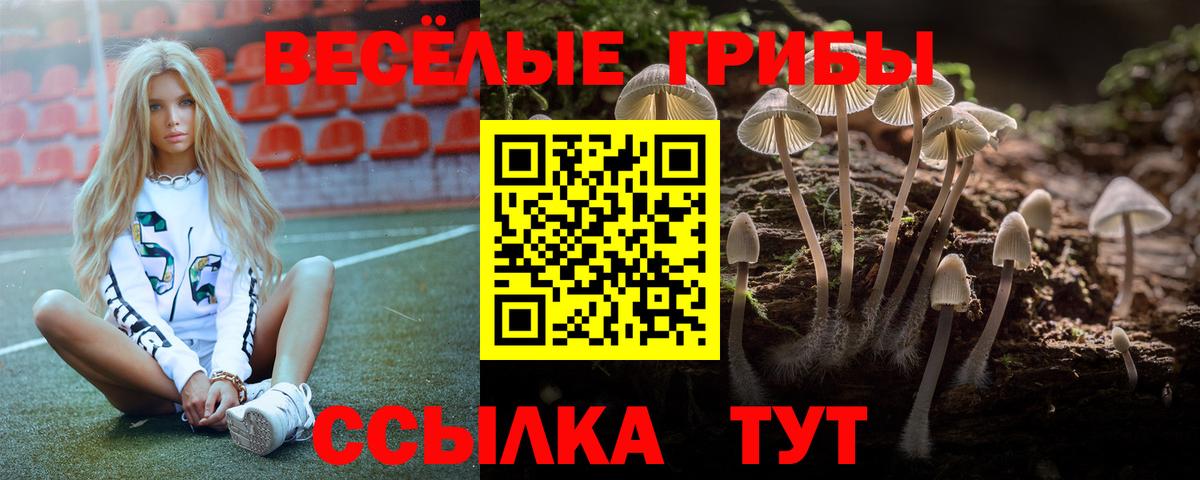 Псилоцибиновые грибы Cubensis Боровичи